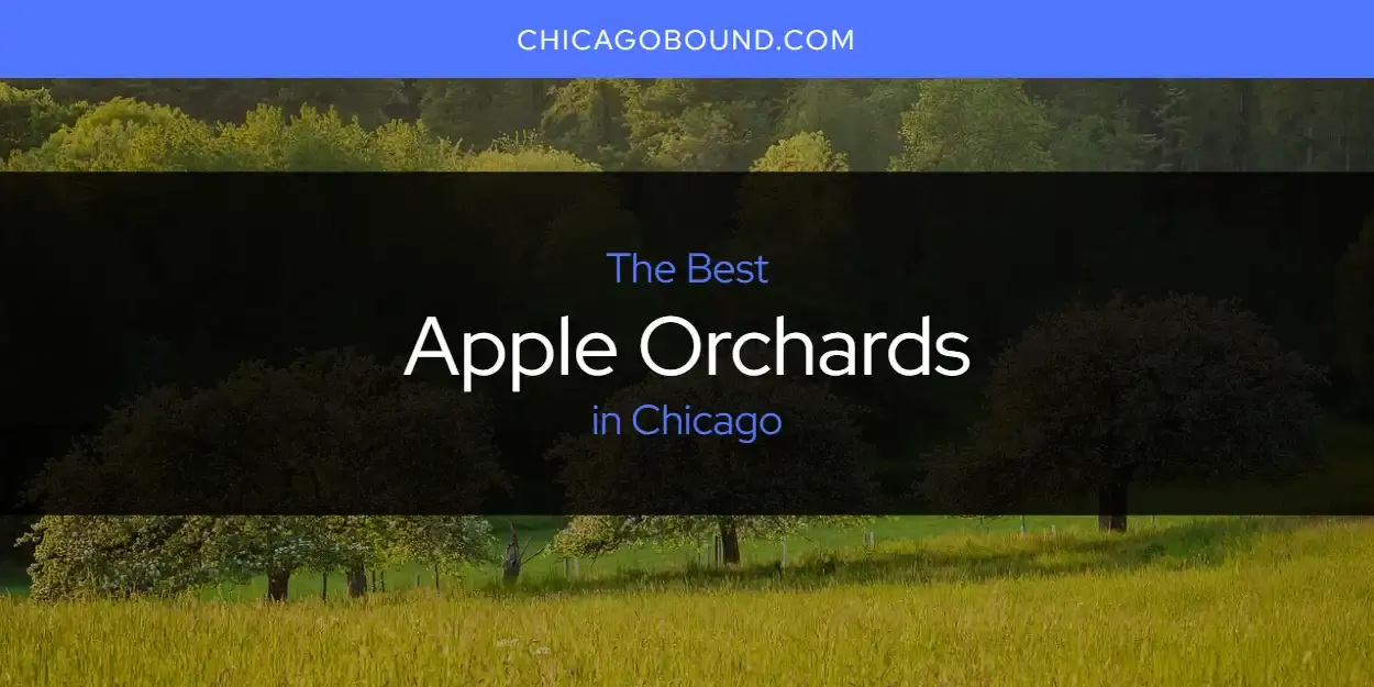 The Absolute Best Apple Orchards in Chicago  [Updated 2023]
