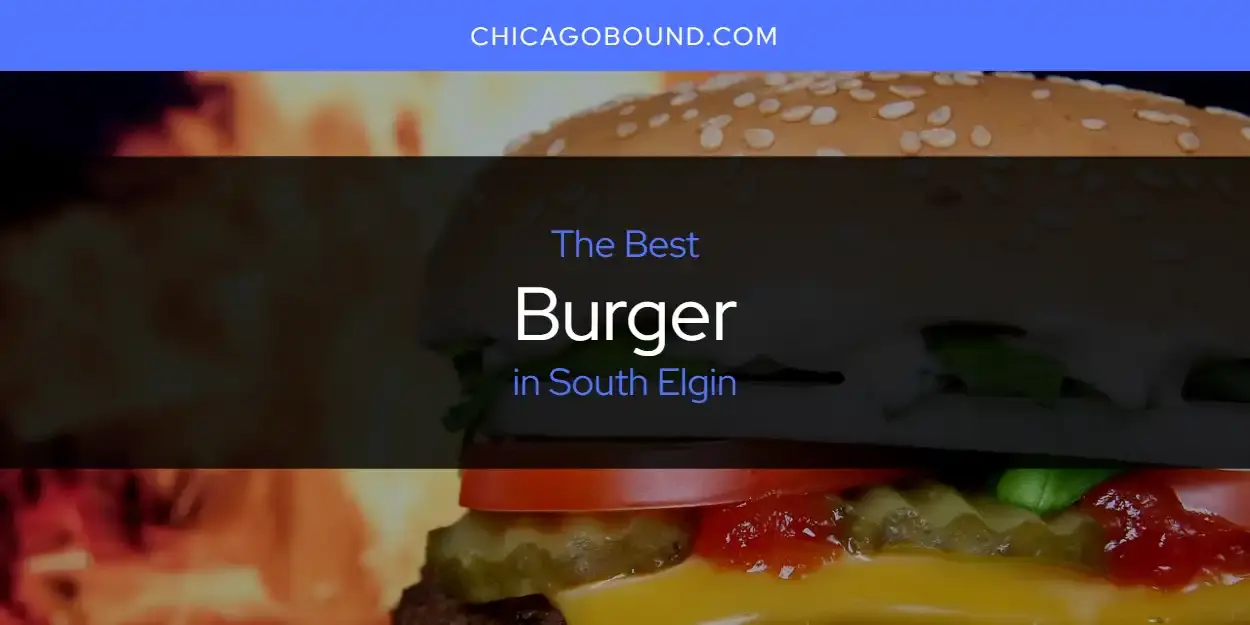 The Absolute Best Burger in South Elgin  [Updated 2023]