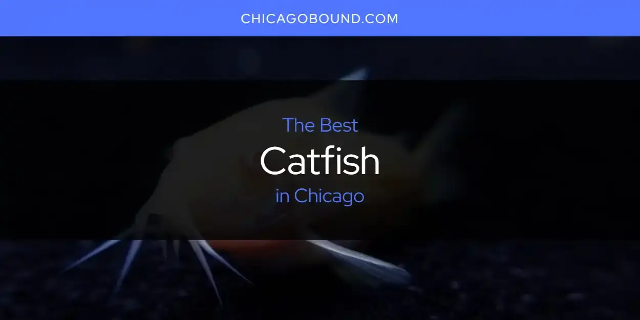 The Absolute Best Catfish in Chicago  [Updated 2023]