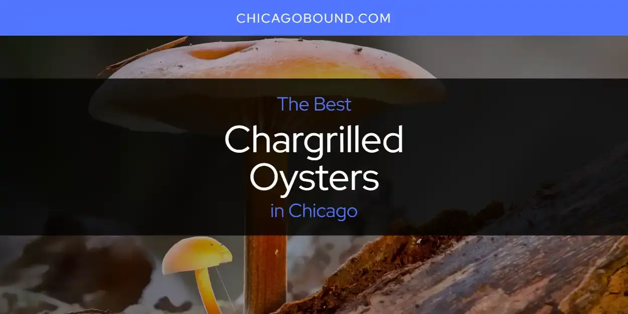 The Absolute Best Chargrilled Oysters in Chicago  [Updated 2023]