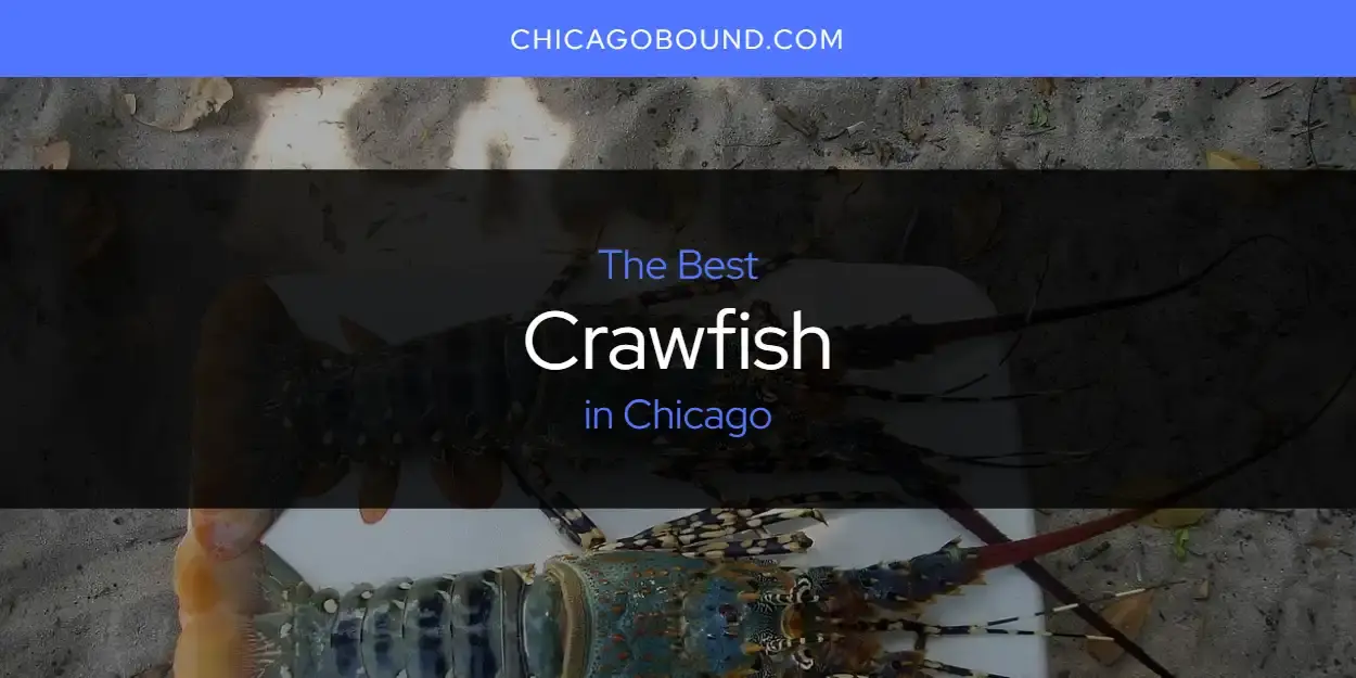 The Absolute Best Crawfish in Chicago  [Updated 2023]