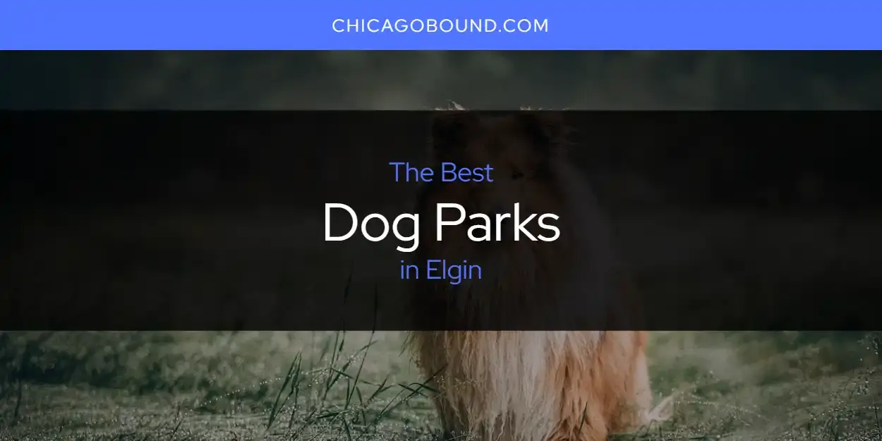 Best Dog Parks in Elgin? Here's the Top 12