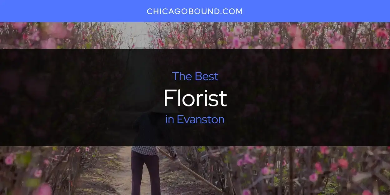 Best Florist in Evanston? Here's the Top 12
