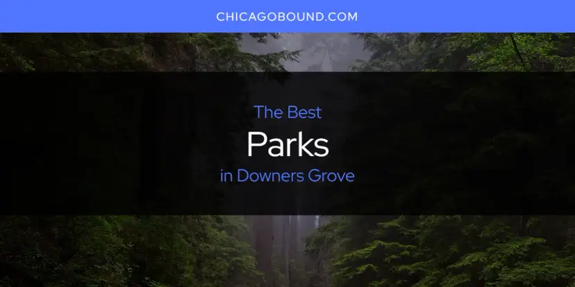 Downers Grove's Best Parks [Updated 2024]