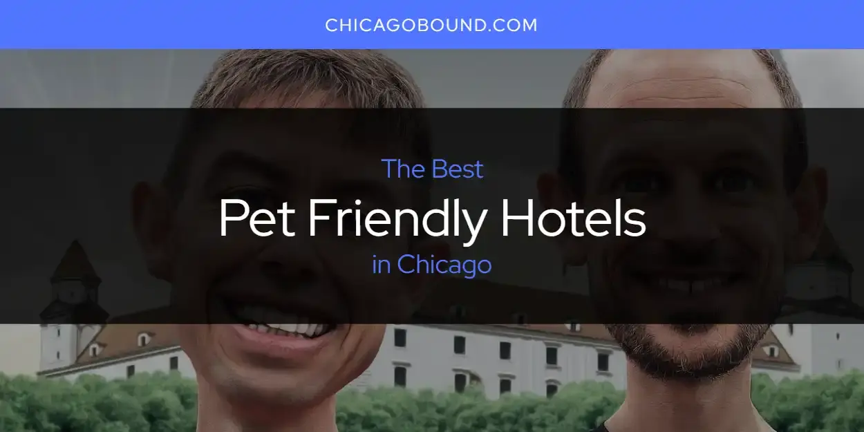 The Best Pet Friendly Hotels in Chicago [Updated 2023]