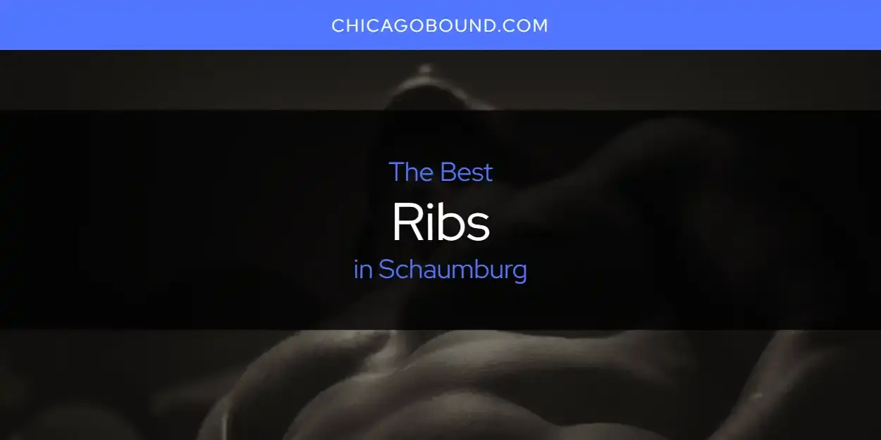 Schaumburg's Best Ribs [Updated 2023]