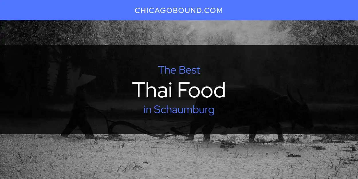 Schaumburg's Best Thai Food [Updated 2023]