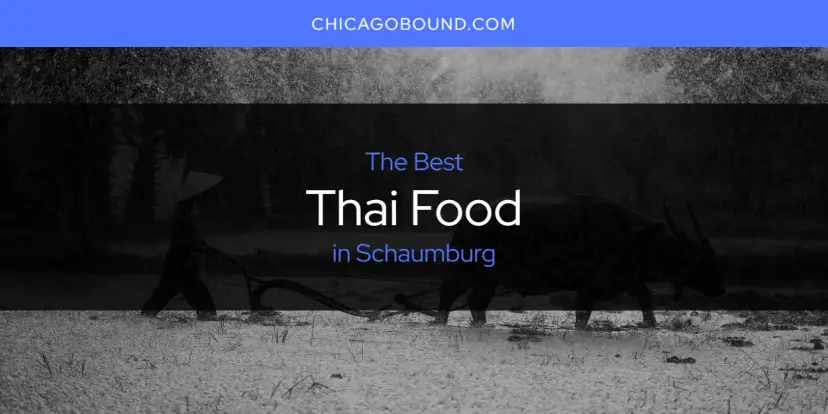 Schaumburg's Best Thai Food [Updated 2024]