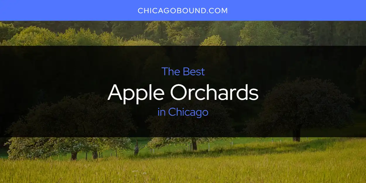 The 2026 Best Apple Orchards in Chicago List
