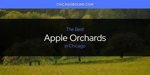 The Best Apple Orchards in Chicago List