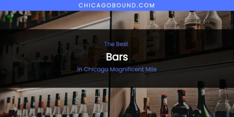 The Absolute Best Bars in Chicago Magnificent Mile