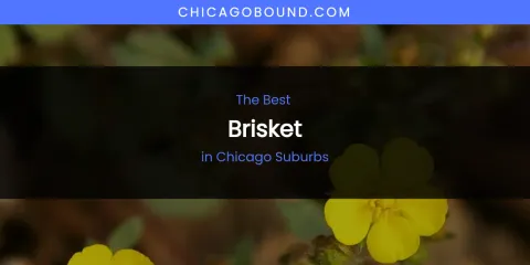 The Absolute Best Brisket in Chicago Suburbs