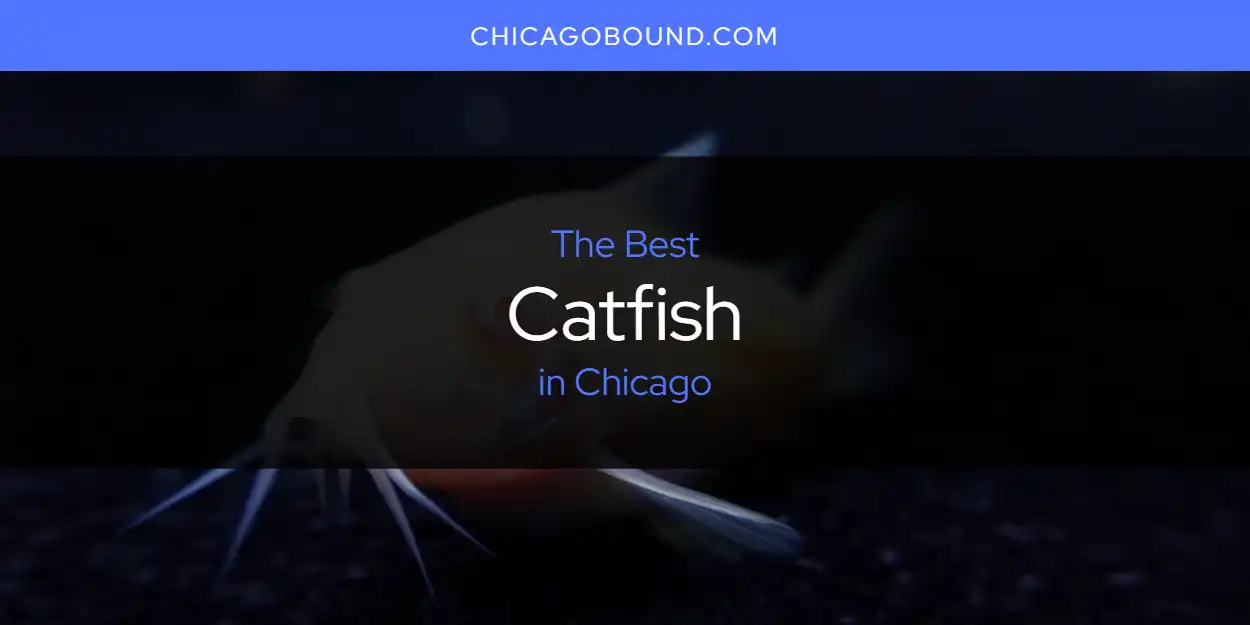 The 2026 Best Catfish in Chicago List