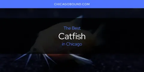 The Best Catfish in Chicago List