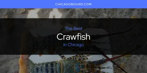 Best Crawfish in Chicago: Ultimate Guide