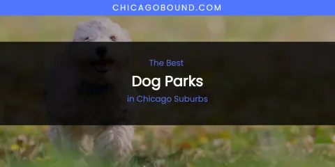 The Absolute Best Dog Parks in Chicago Suburbs