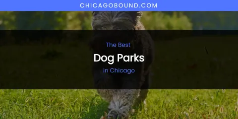 The Absolute Best Dog Parks in Chicago