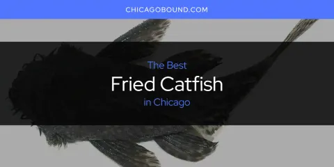 Best Fried Catfish in Chicago: Complete Guide