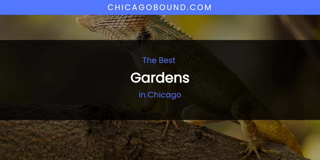 The Absolute Best Gardens in Chicago featured