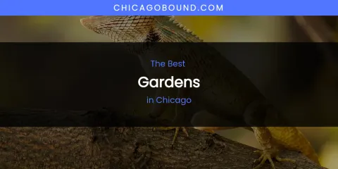 The Absolute Best Gardens in Chicago