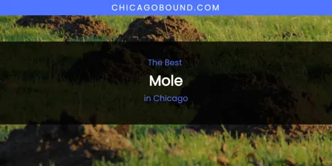 The Absolute Best Mole in Chicago