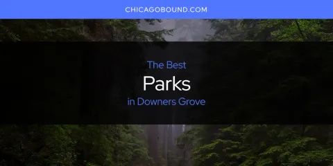 The Best Parks in Downers Grove List