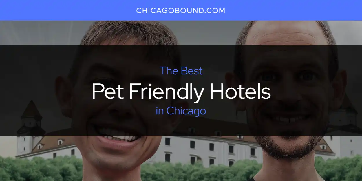 Discover the Best Pet Friendly Hotels in Chicago (2026) featured