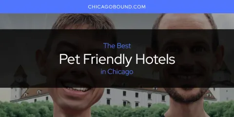 Discover the Best Pet Friendly Hotels in Chicago