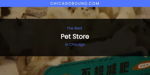 The Absolute Best Pet Store in Chicago