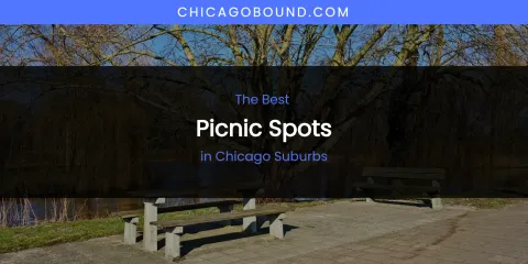 The Absolute Best Picnic Spots in Chicago Suburbs