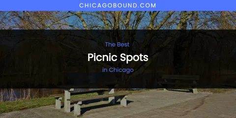 The Absolute Best Picnic Spots in Chicago