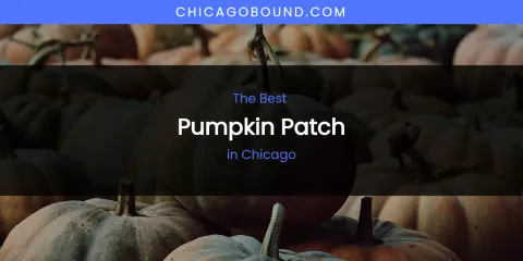 The Absolute Best Pumpkin Patch in Chicago