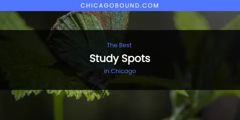 The Absolute Best Study Spots in Chicago