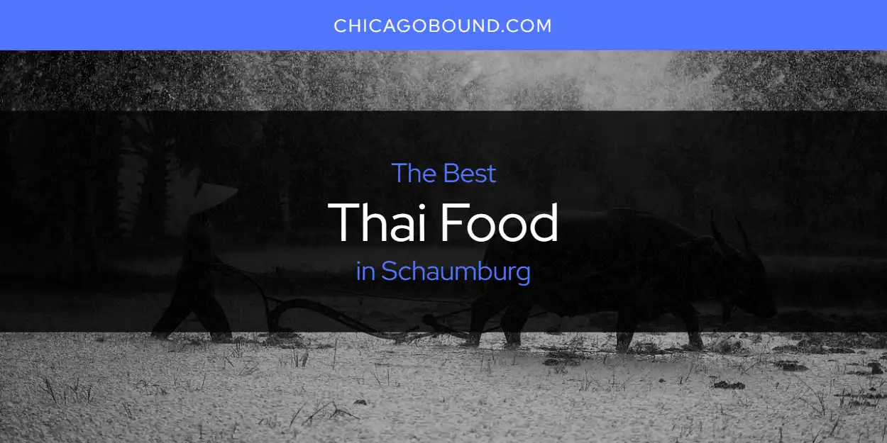 Best Thai Food in Schaumburg: 2026 Ultimate Guide