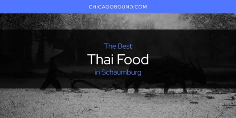 Best Thai Food in Schaumburg: Ultimate Guide